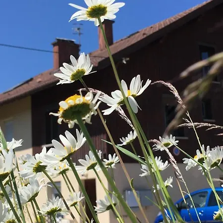 Appartamento Le Petit Beillard Gérardmer Esterno foto