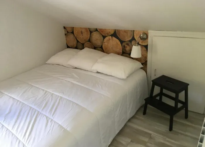 Le petit Beillard