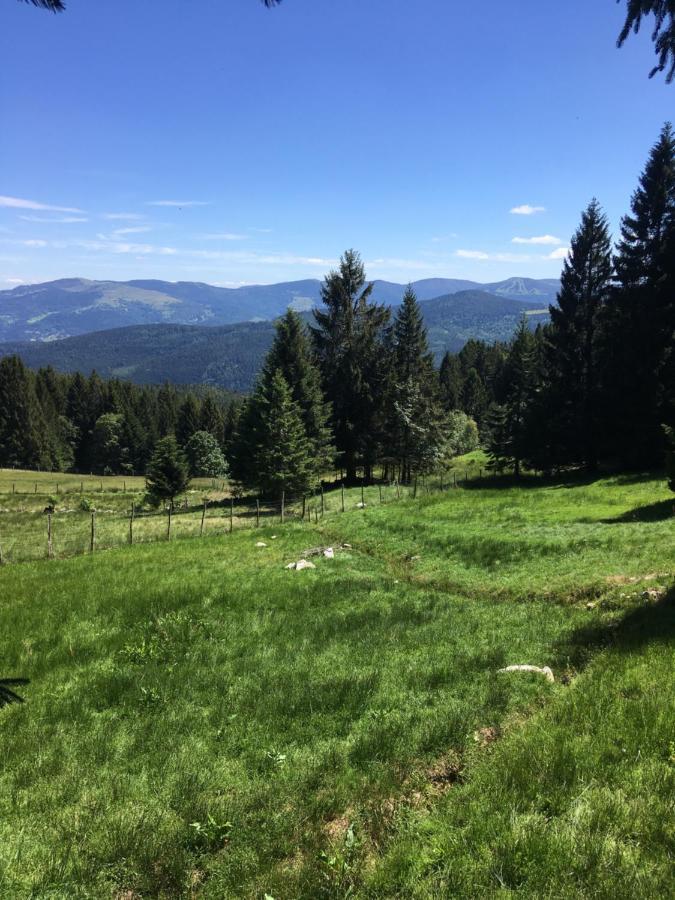 Appartement Le Petit Beillard Gérardmer