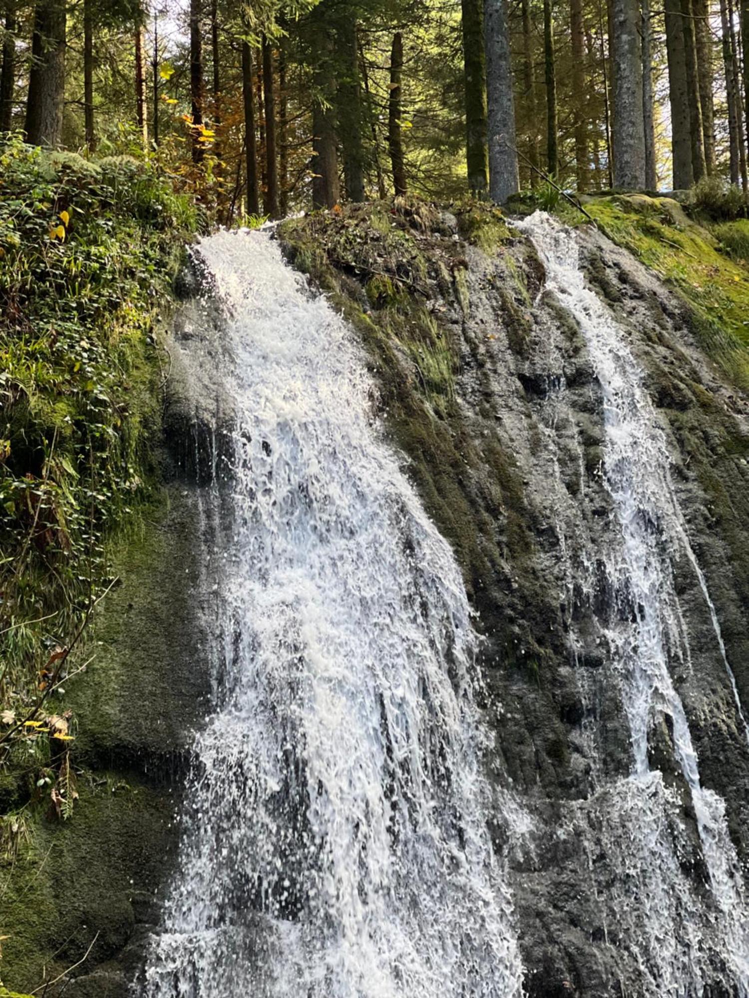 Le Petit Beillard Gérardmer